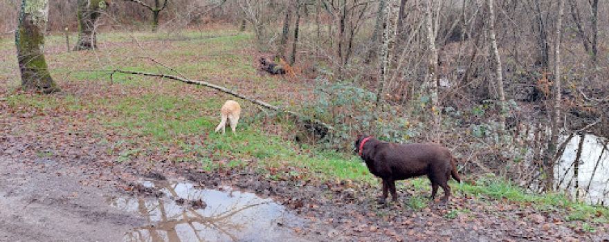 Le Sentier Découvertes Du Graviange