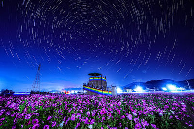 Otosakurakaido Hana Park