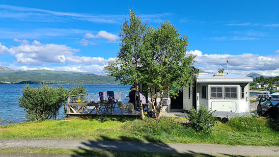 Kjerkevika