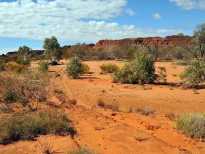 Simpson Desert