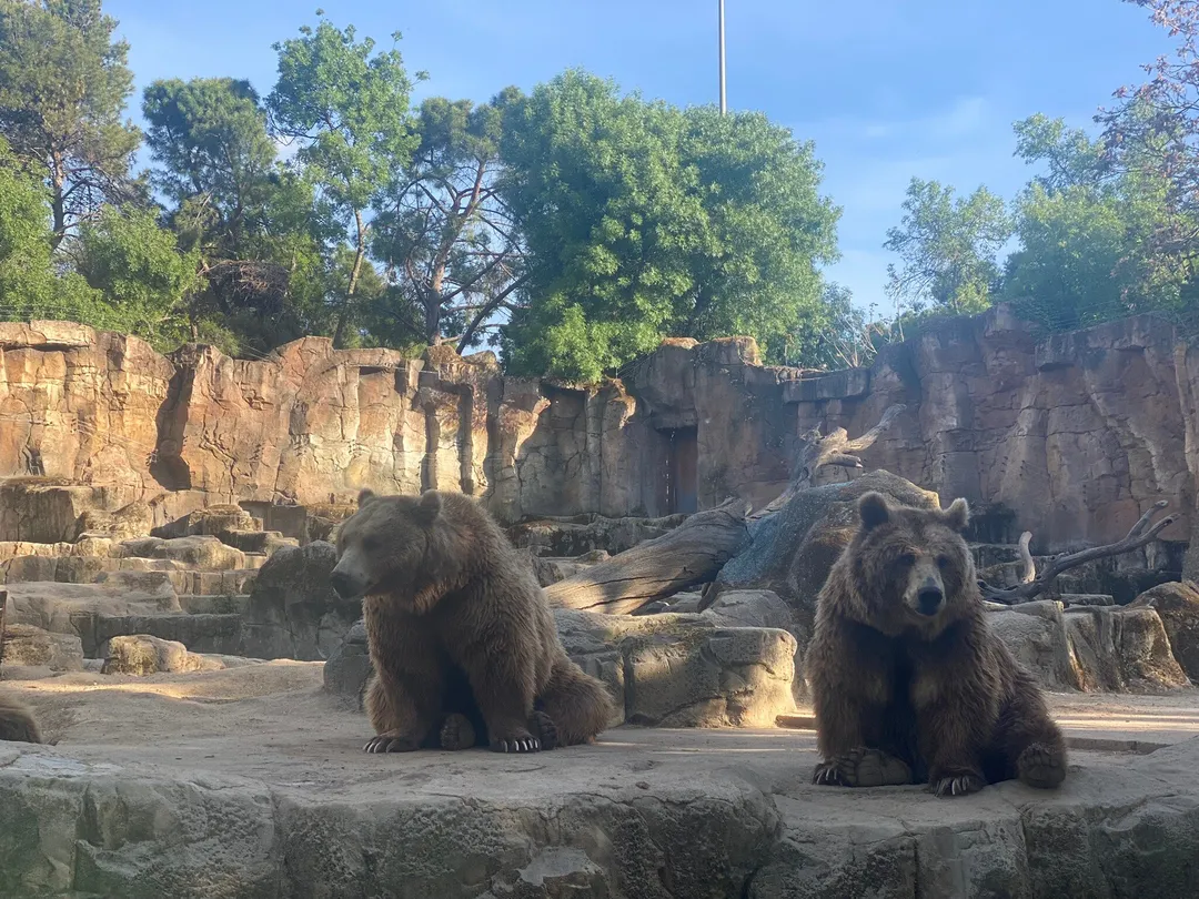 2_Zoo Aquarium de Madrid