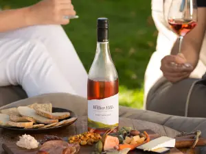 Wither Hills Cellar Door