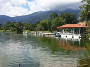 Taiping Lake Gardens