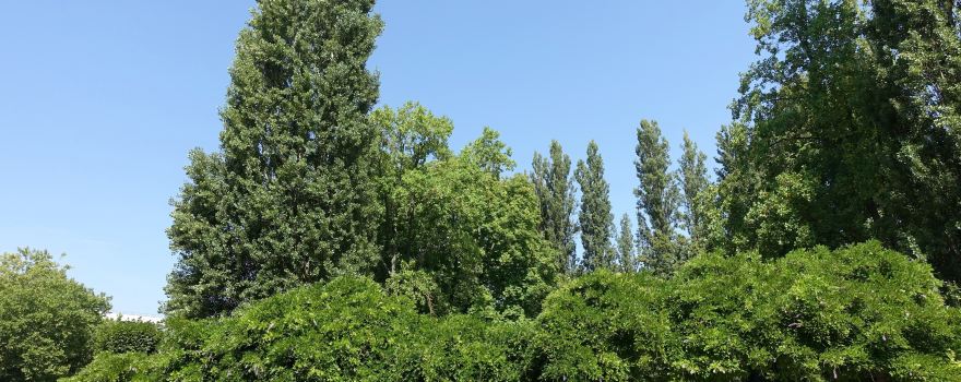 Jardins des Pres Fichaux