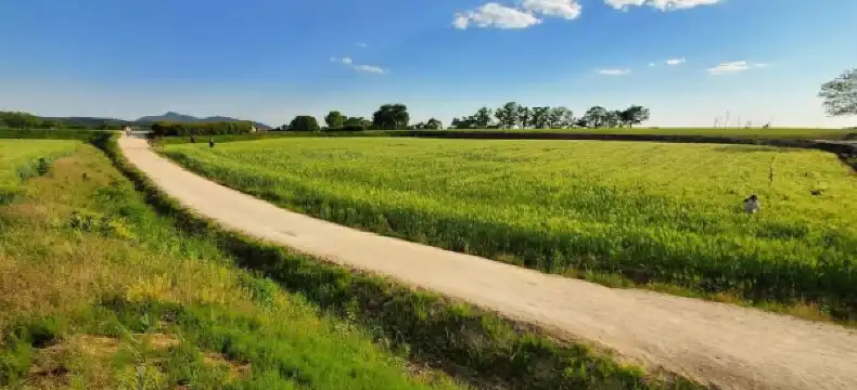 鄰近漢灘江觀光地的酒店