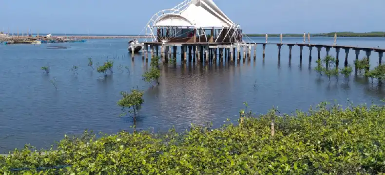 Hotels in Mayangan