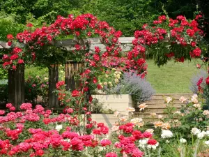 Brookside Gardens