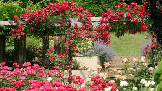 Brookside Gardens