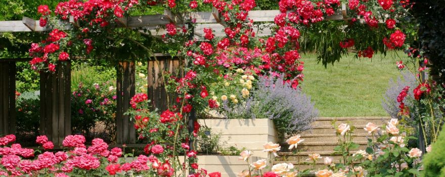 Brookside Gardens