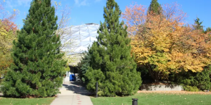 Dinosaur State Park & Museum