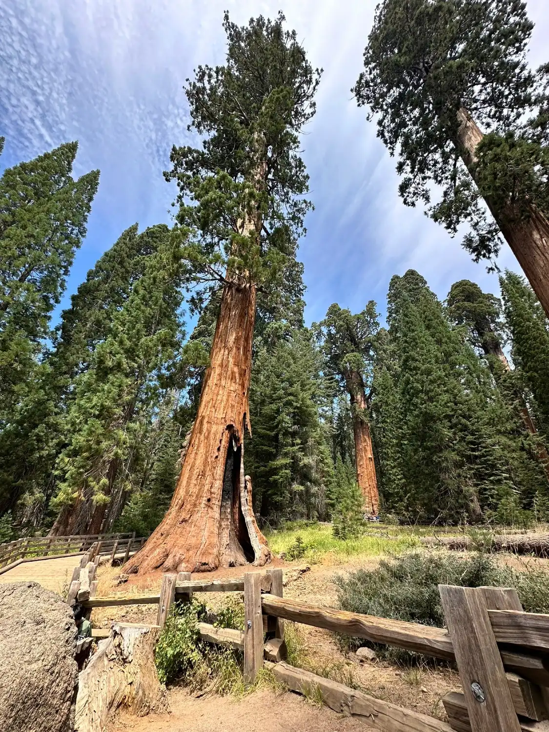 Hôtels à proximité de : General Sherman Tree