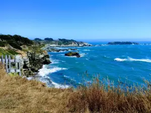 Gualala Point Regional Park