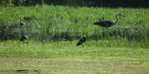 自由邦國家植物園
