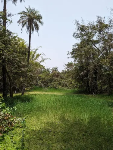Kombo North