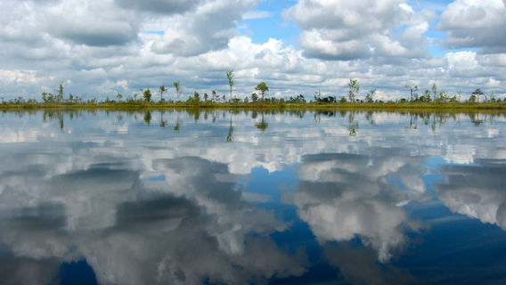Soomaa National Park