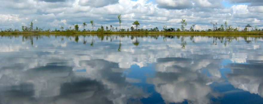 Soomaa National Park