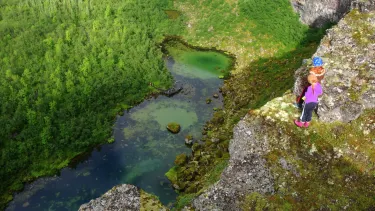 Jokulsargljufur National Park