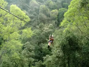 Karkloof Canopy Tour
