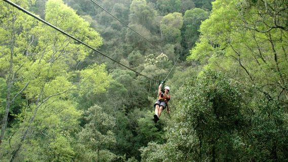 Karkloof Canopy Tour