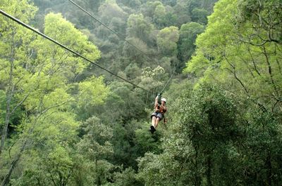 Karkloof Canopy Tour