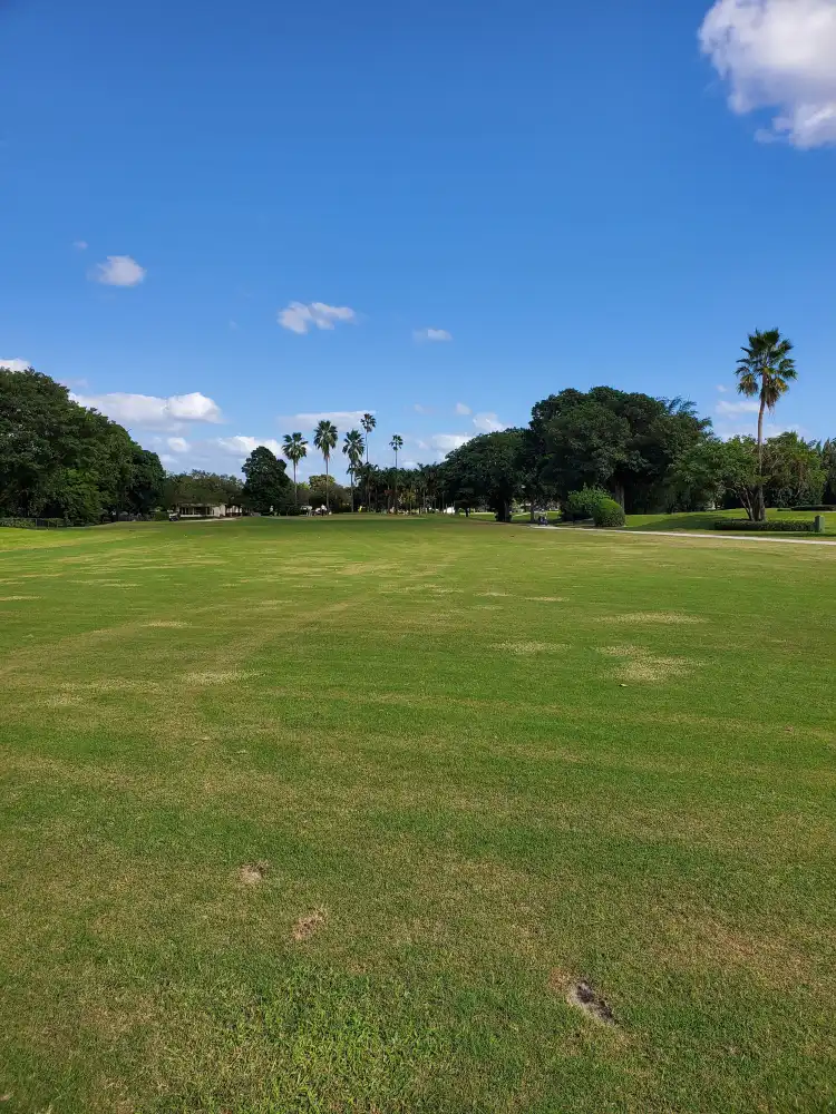 Hotels near Miami Springs Golf & Country Club