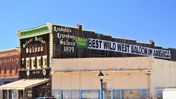 Healy House Museum & Dexter Cabin