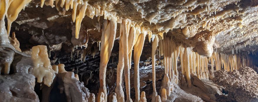 Wonderland Cave