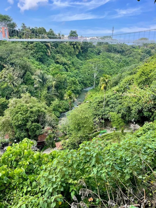 5_森林瀑布觀景