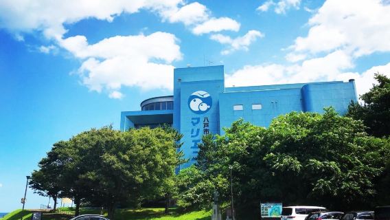 Hachinohe fisheries science museum Marient.