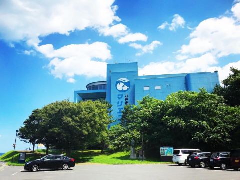 Hachinohe fisheries science museum Marient.