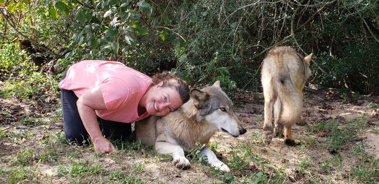 Seacrest Wolf Preserve
