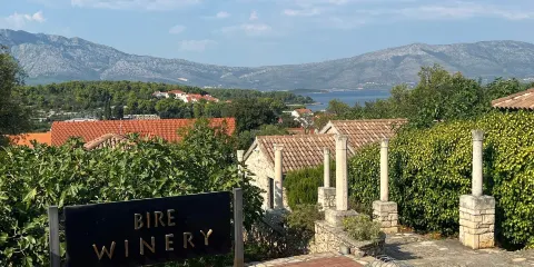 Bire winery