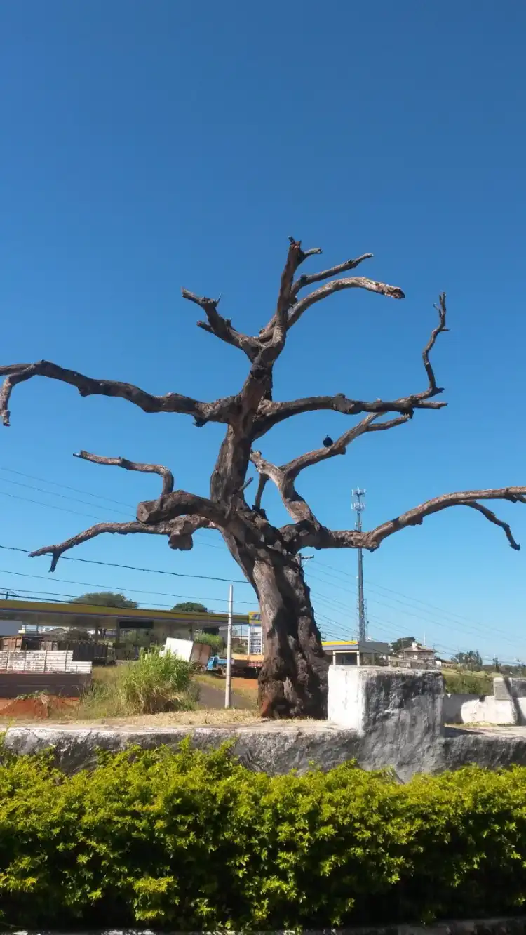 Hotels near Tree of the Hanged