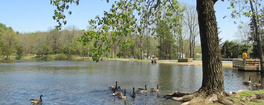 Lippman Park