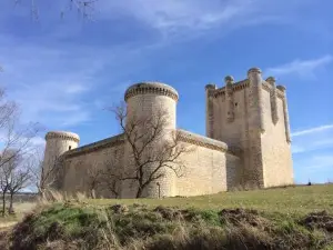 Castle of Torrelobatón