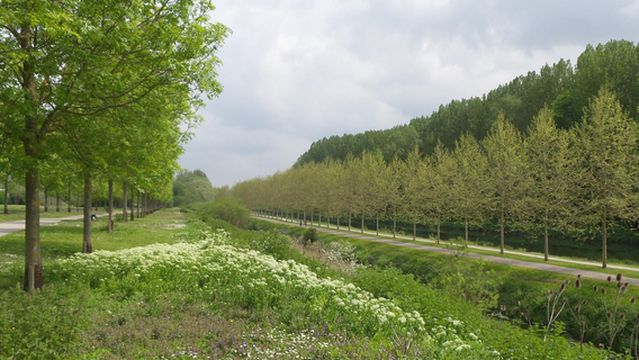 Парк Гран Маре