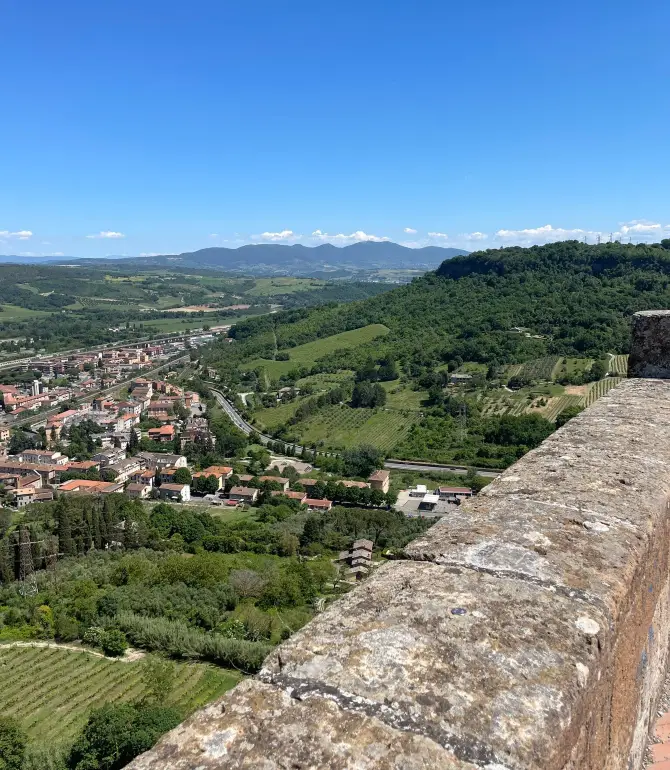 Urbino