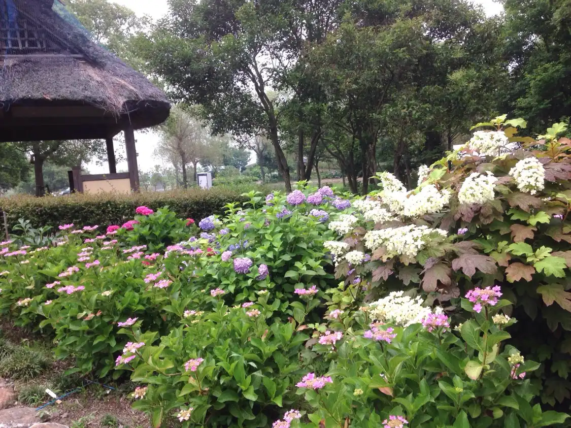 Hotel in zona Moriyama Ashikarien Garden