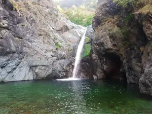 Goja del Pis
