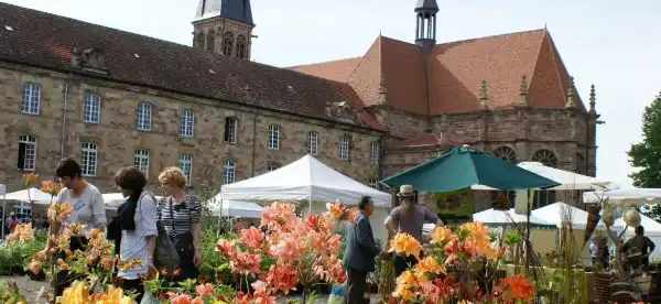 Hotels in Vosges