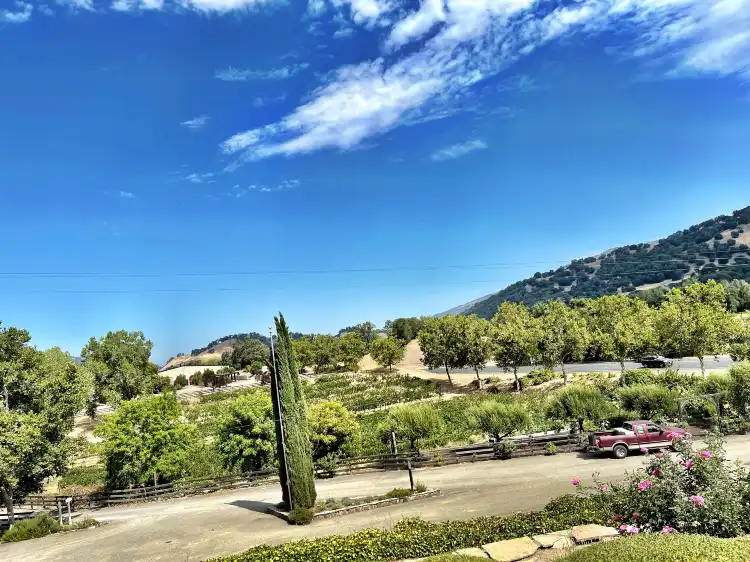 Hotels in Hopland