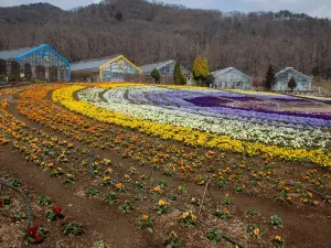Tochigi Flower Center