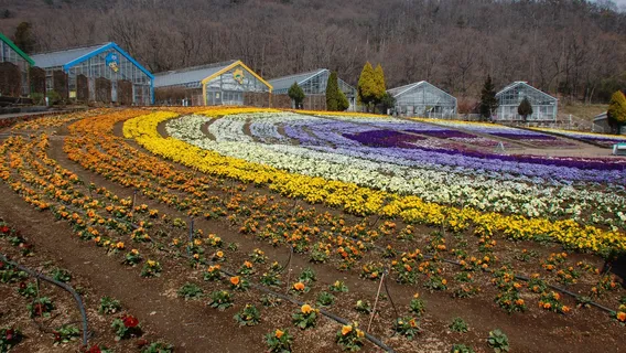 Tochigi Flower Center