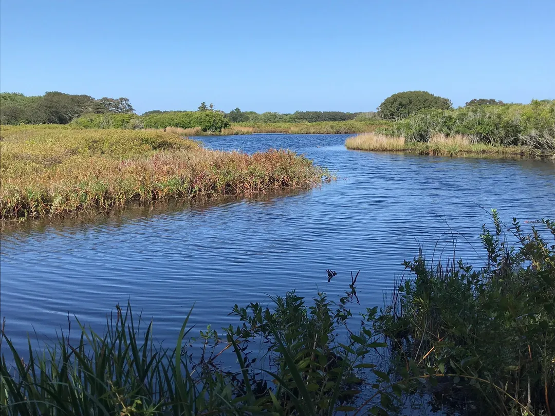 2_Nantucket Walkabout