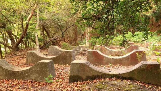 Nozarashi Tank Remains