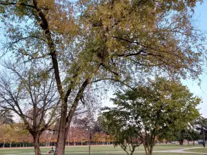 Campo Marzo