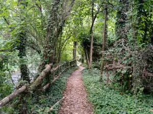 Parco Regionale Fluviale del Taro