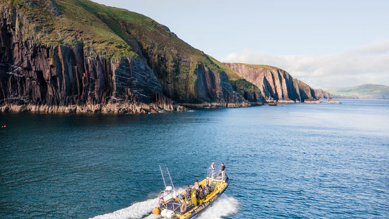 Dingle Sea Safari