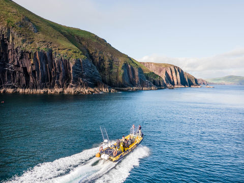 Dingle Sea Safari