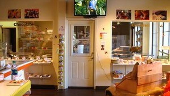 Untamed Confections